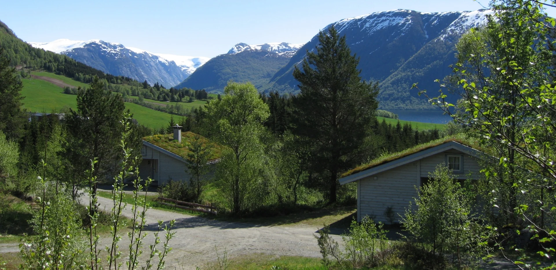 Jølsterlia Hyttetun