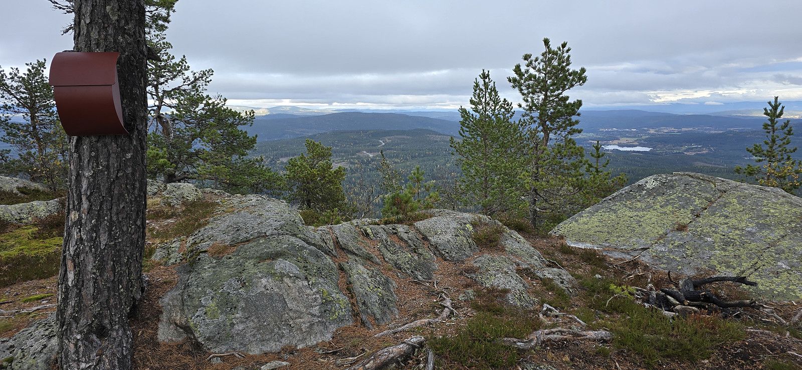 Høgnipa (660moh)