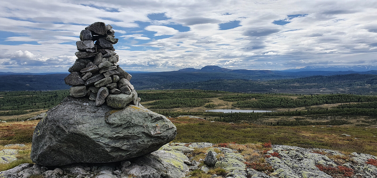 Myrebærhammaren (1134moh)