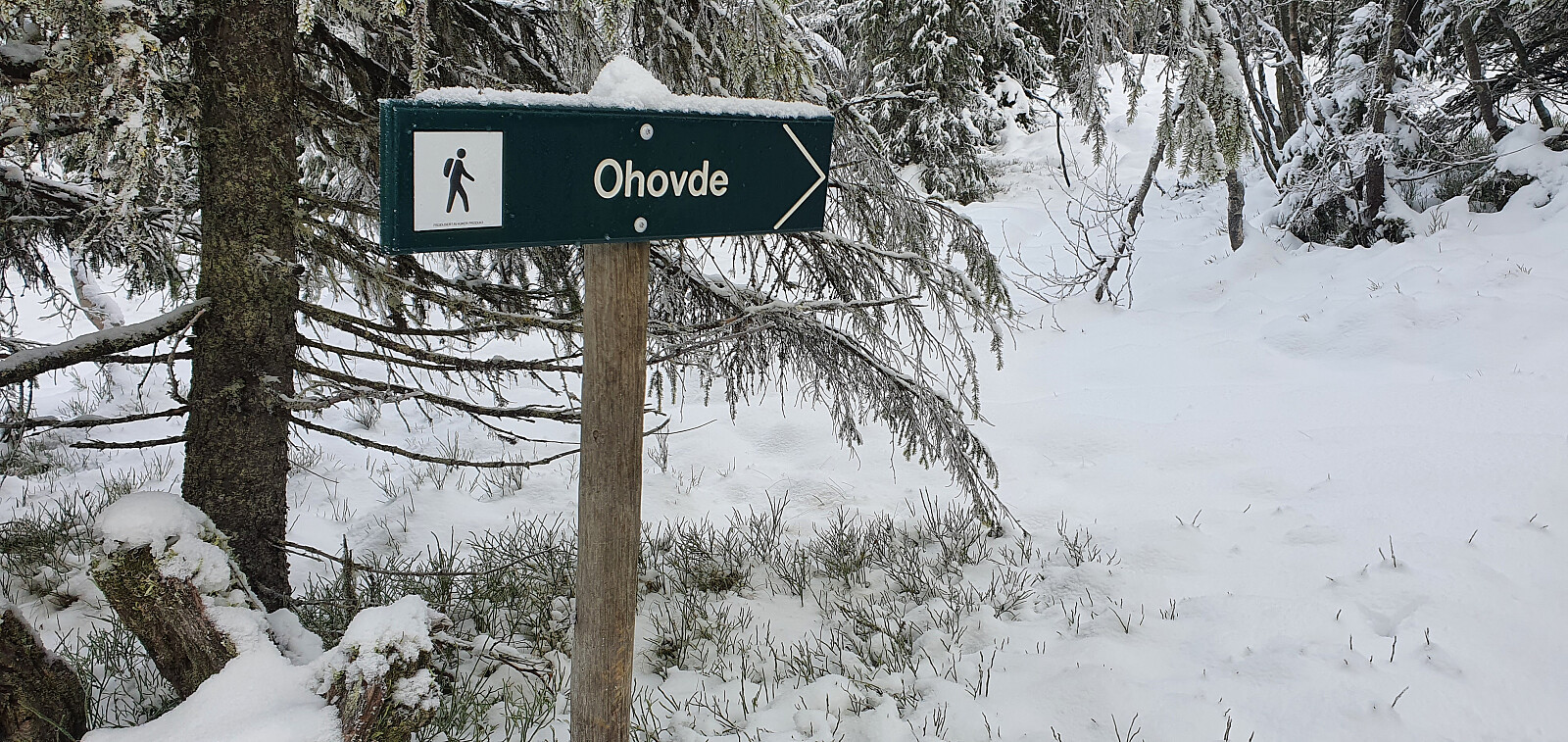 Ohovde (937moh)