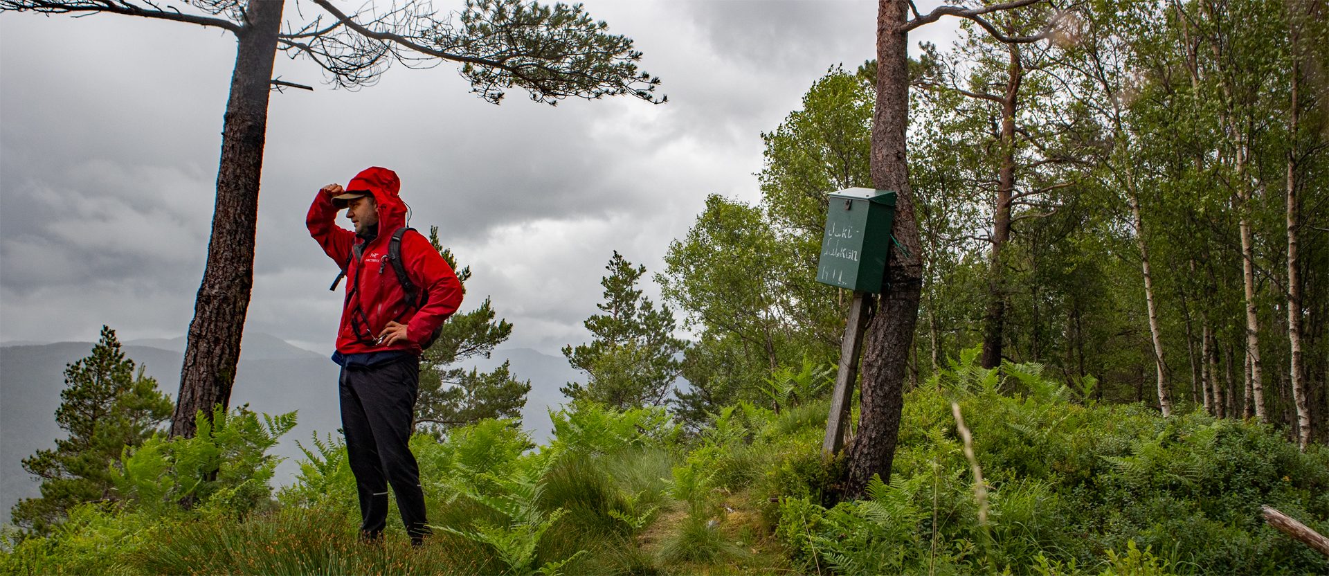 Raudlifjellet (396 moh) fra Tømmernes på Søfteland