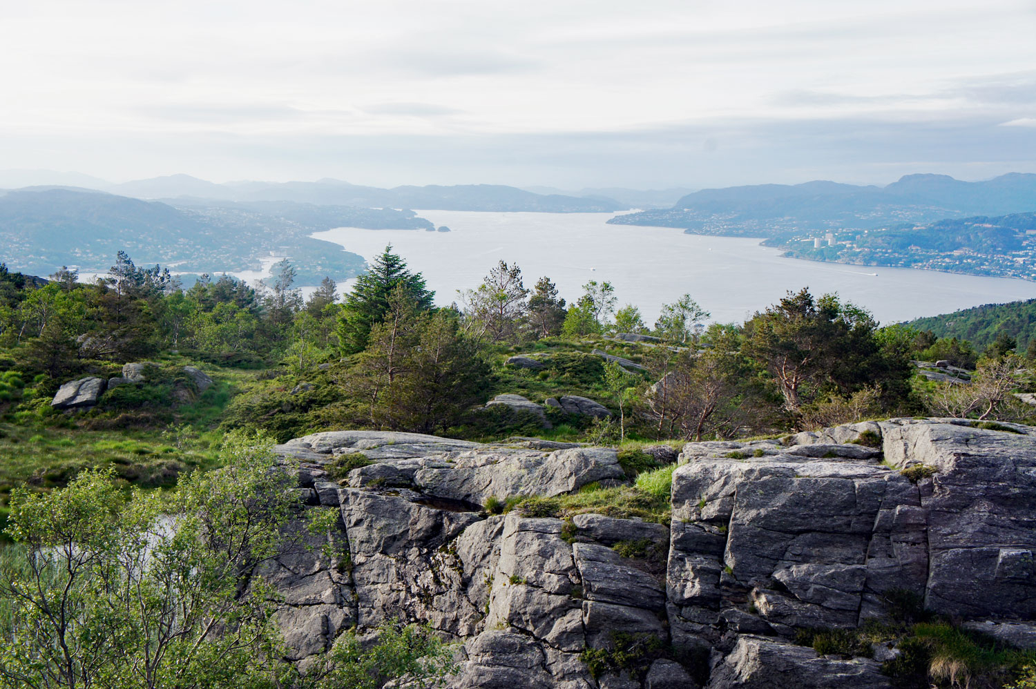Gravdalsfjellet (351 moh) fra Nipedalen