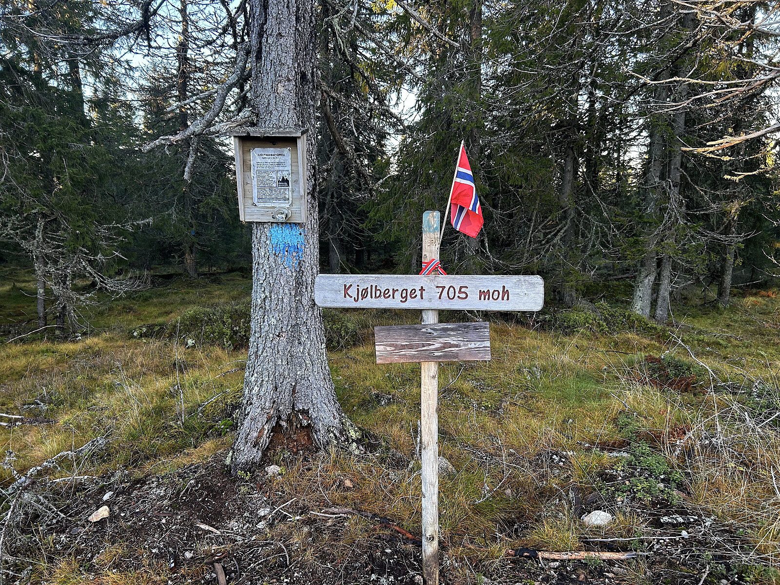 Kjølberget (704moh)