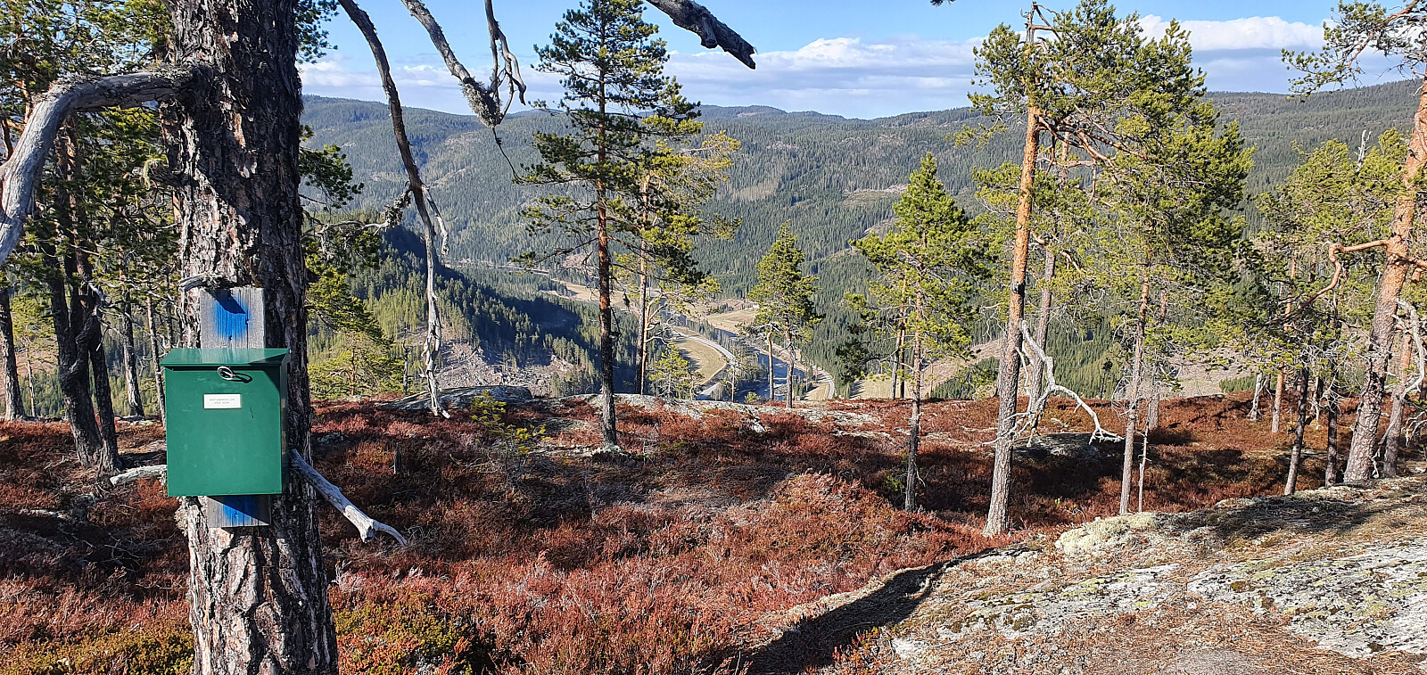 Kristiansmokollen (493moh)