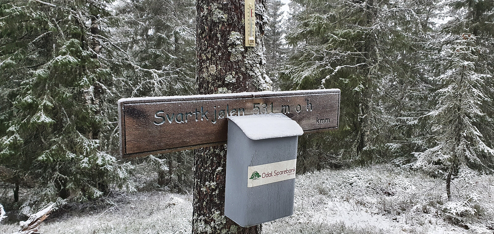 Svartkjølen (531 moh)