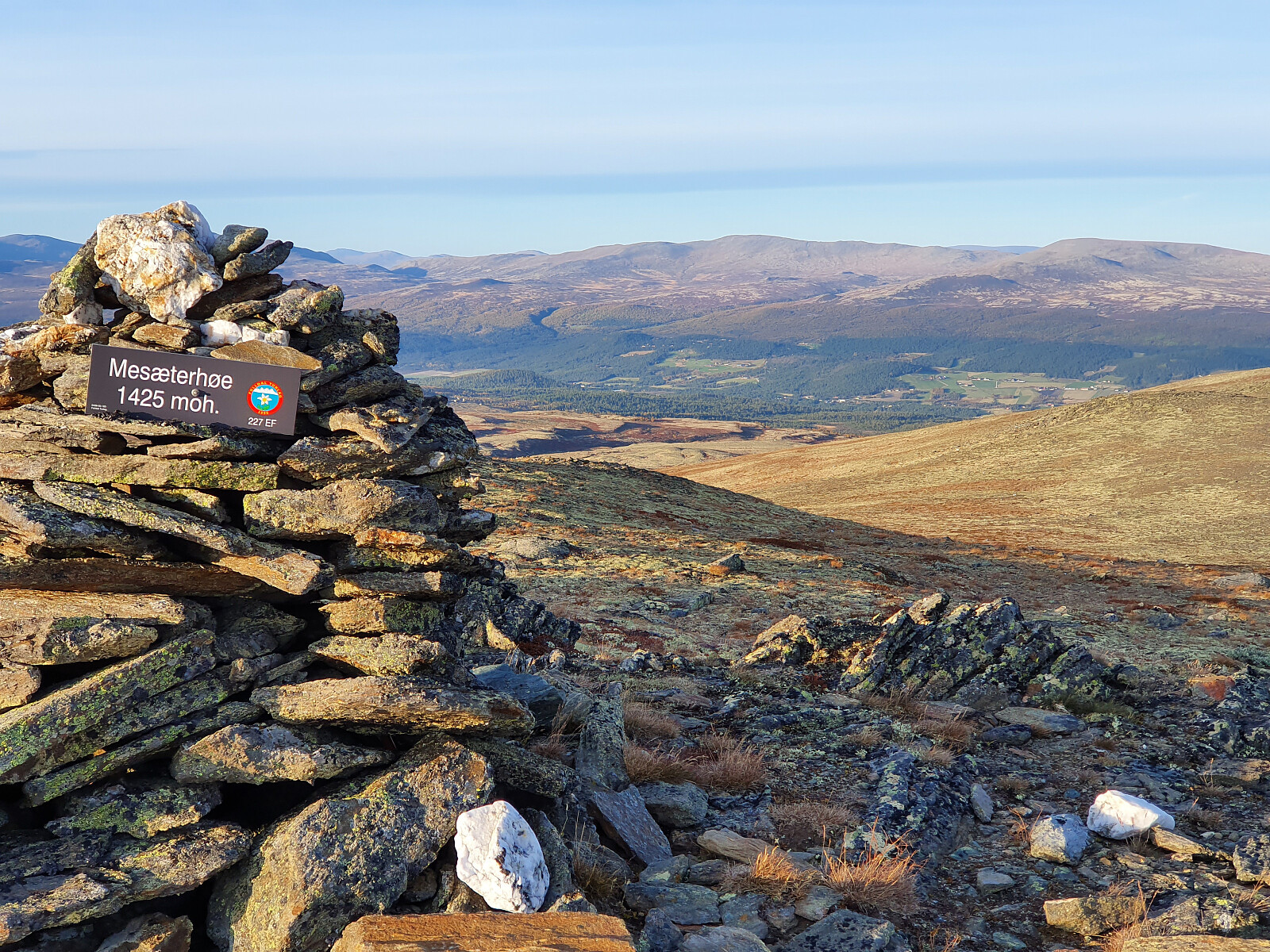 Mesæterhøe (1425 moh)