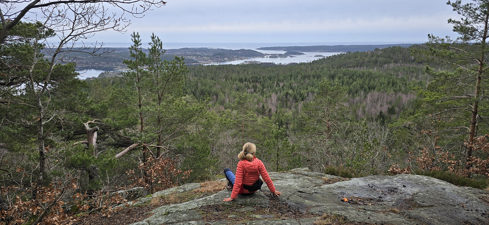Lovisenbergkollen (190moh)