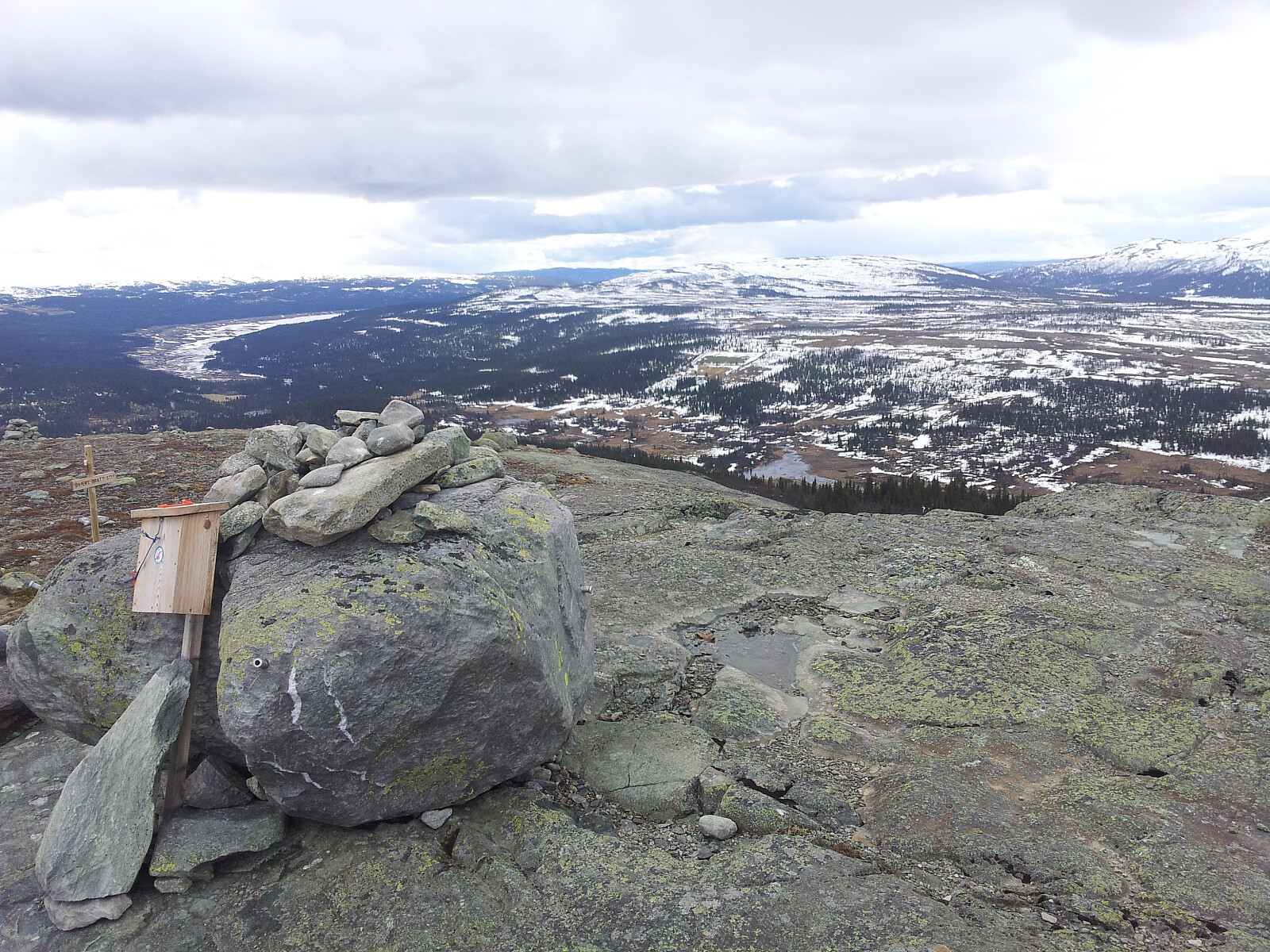 Ormtjernkampen (1128 moh)