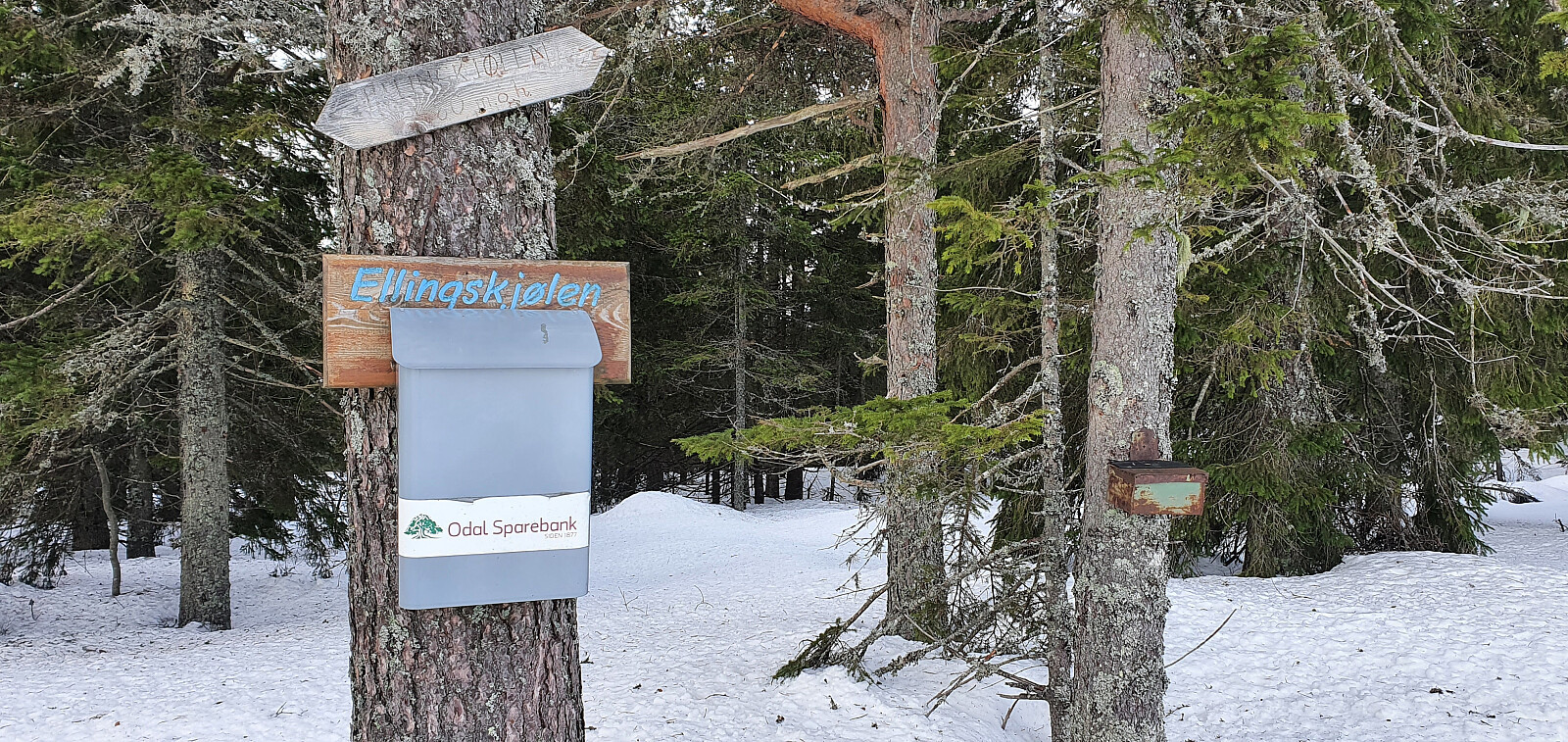 Ellingskjølen (480 moh)