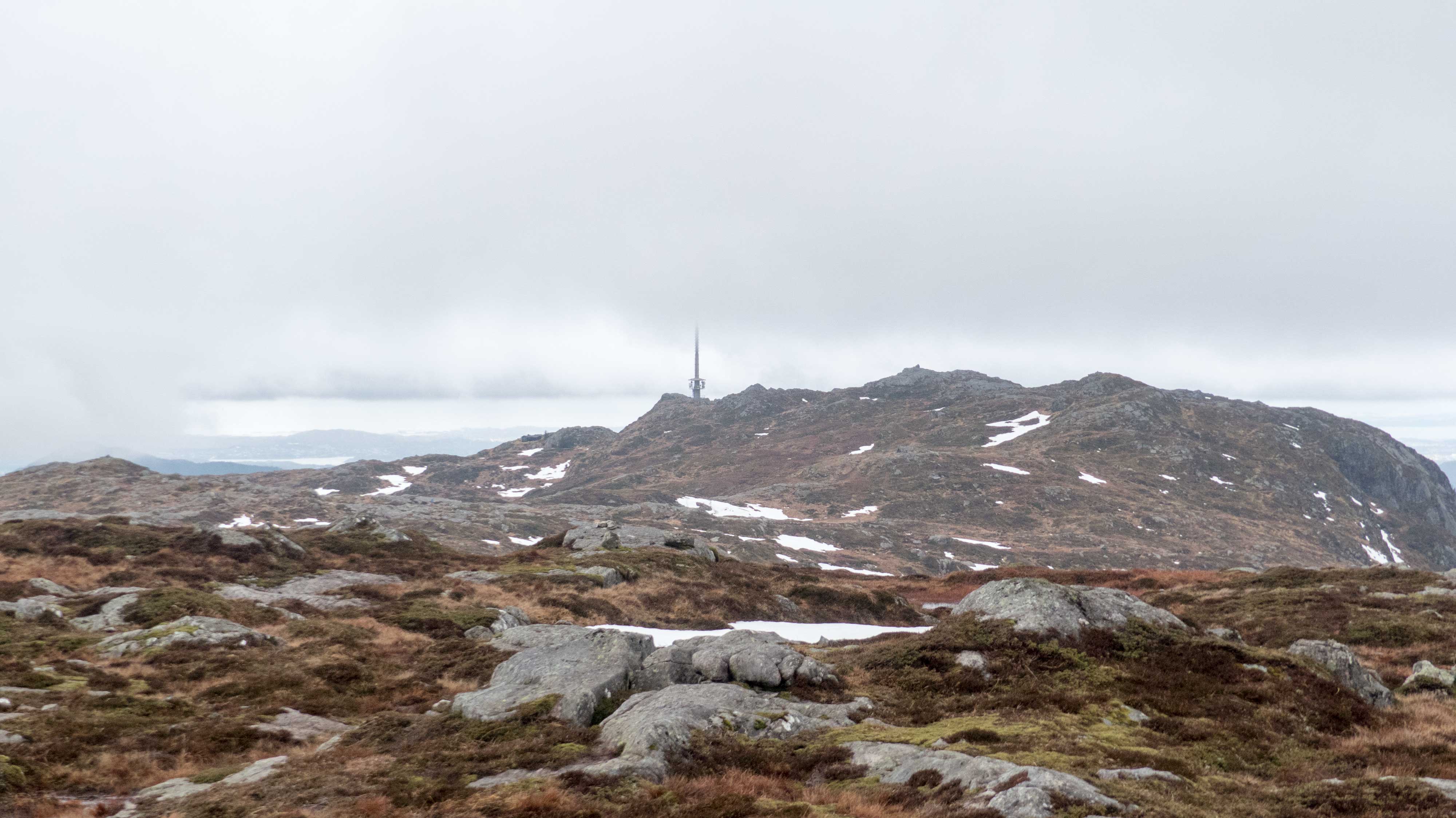 Vidden fra Fløyen