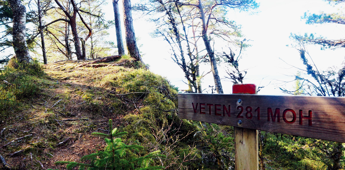 Veten (282 moh) i Fusa