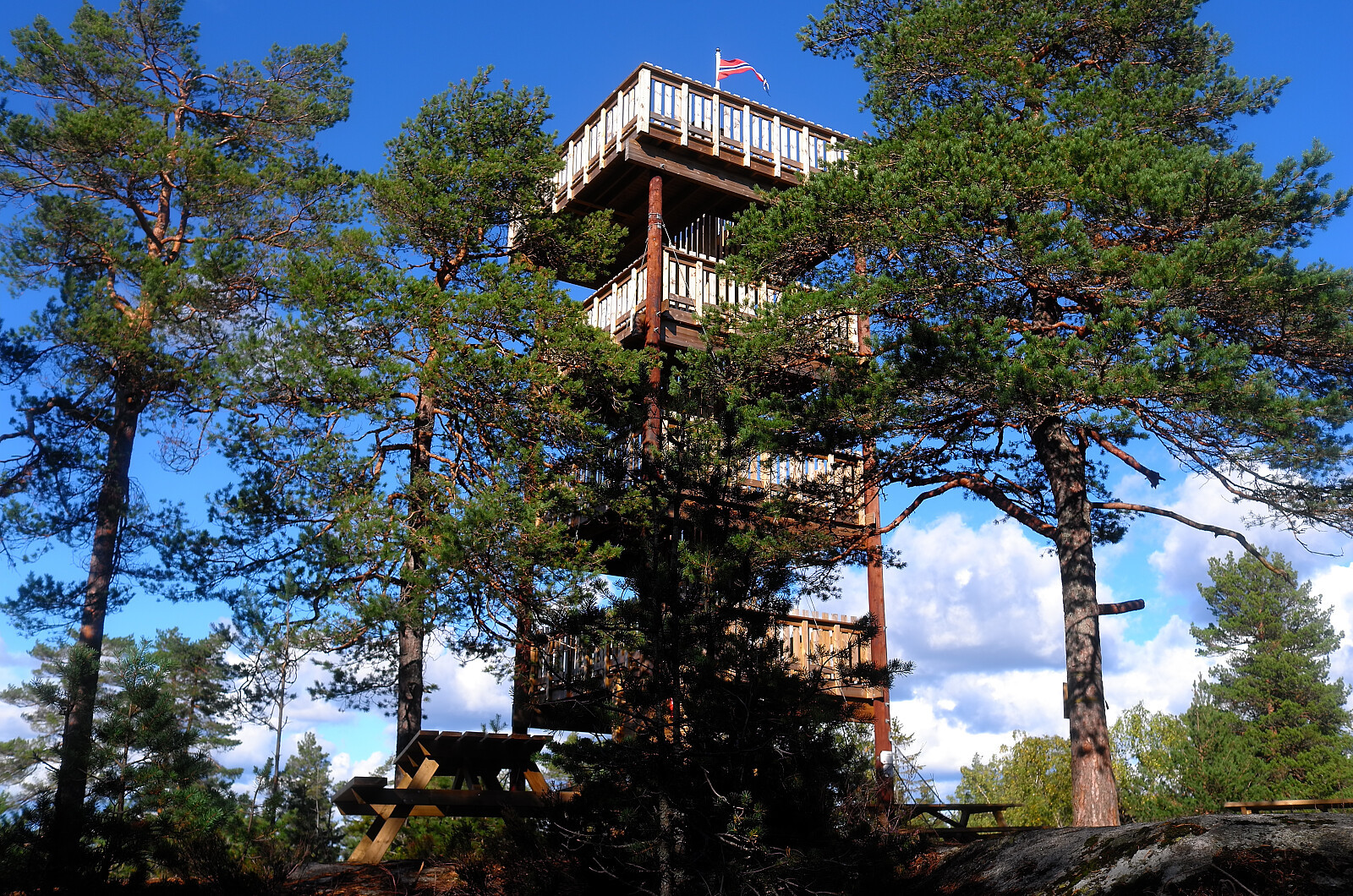 Hjellsåsen (237moh)