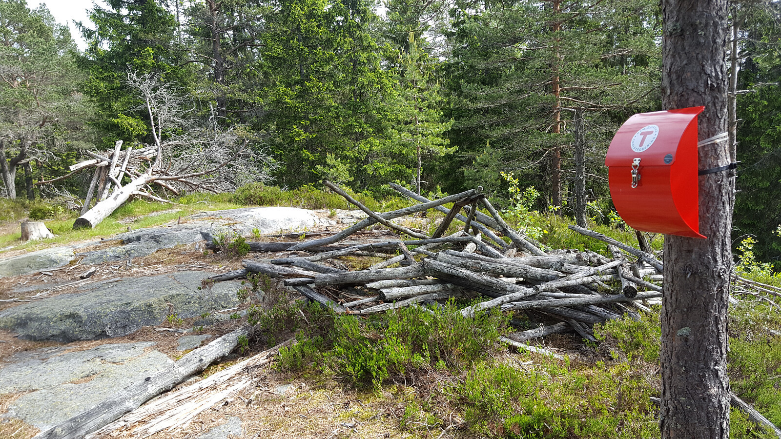 Holterkollen (455moh)