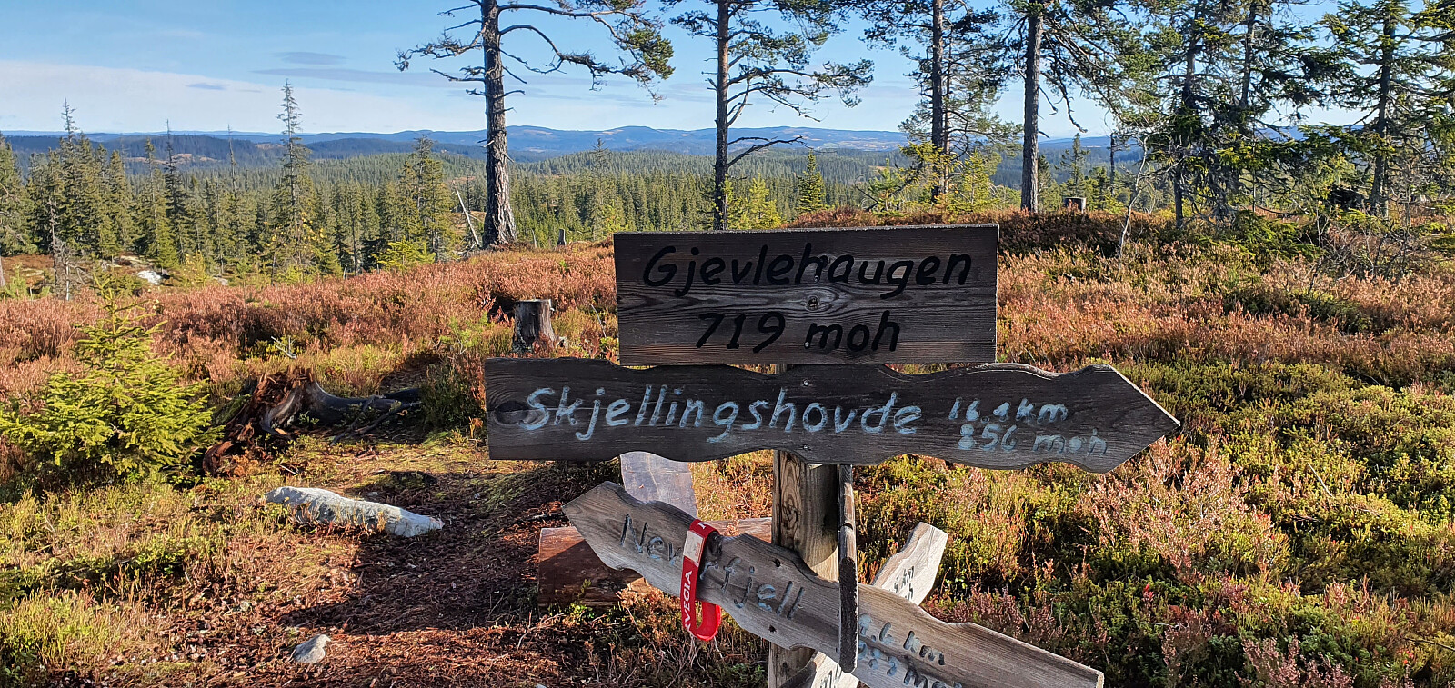 Gjevlehaugen (719moh)