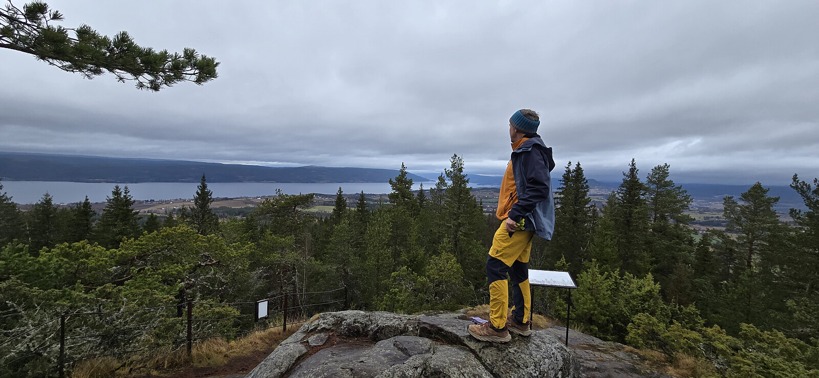 Sølvsberget (493moh)