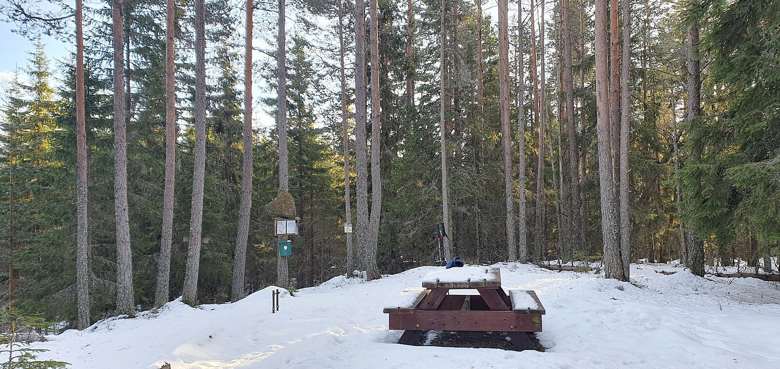 Duåsberget (340 moh)