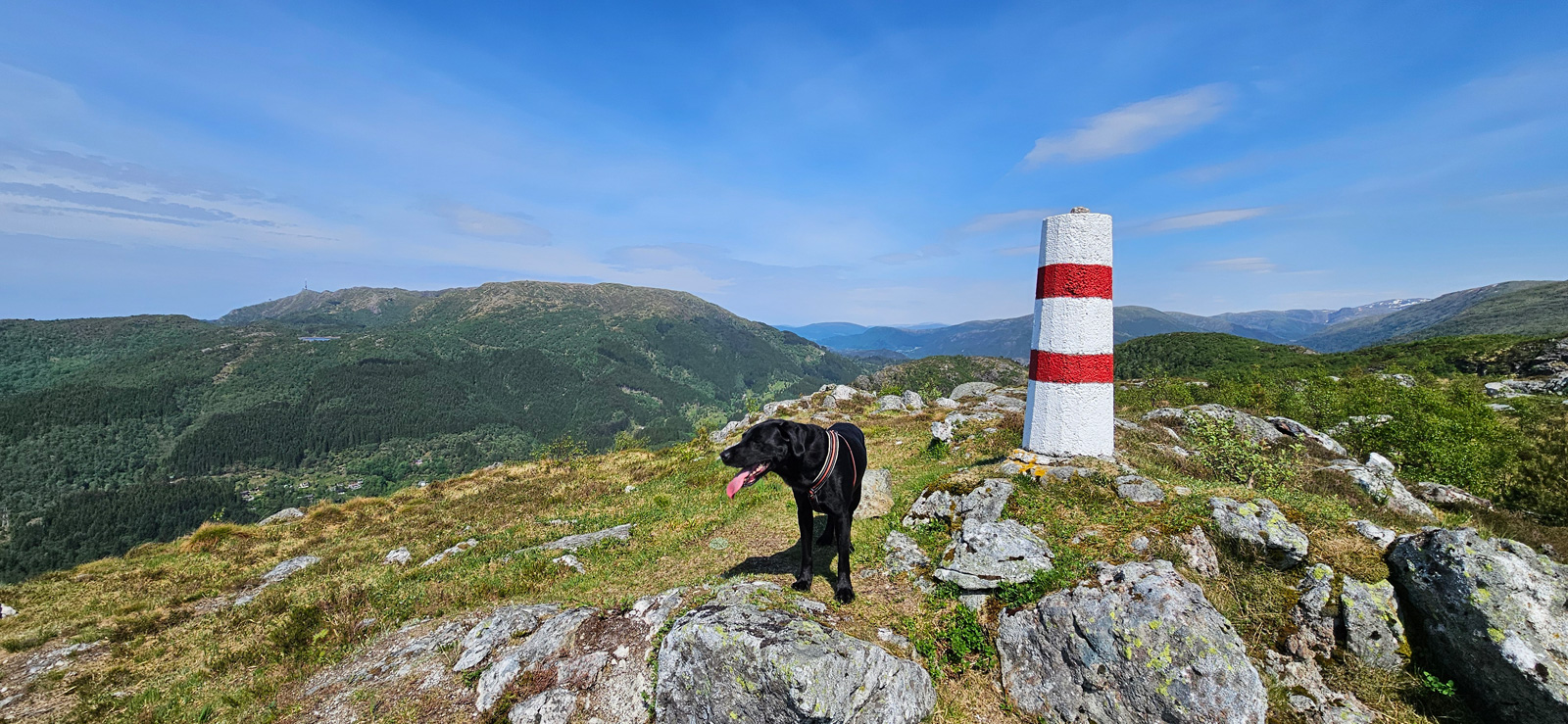 Flåfjellet i Fana – åpent fjellterreng mot toppen