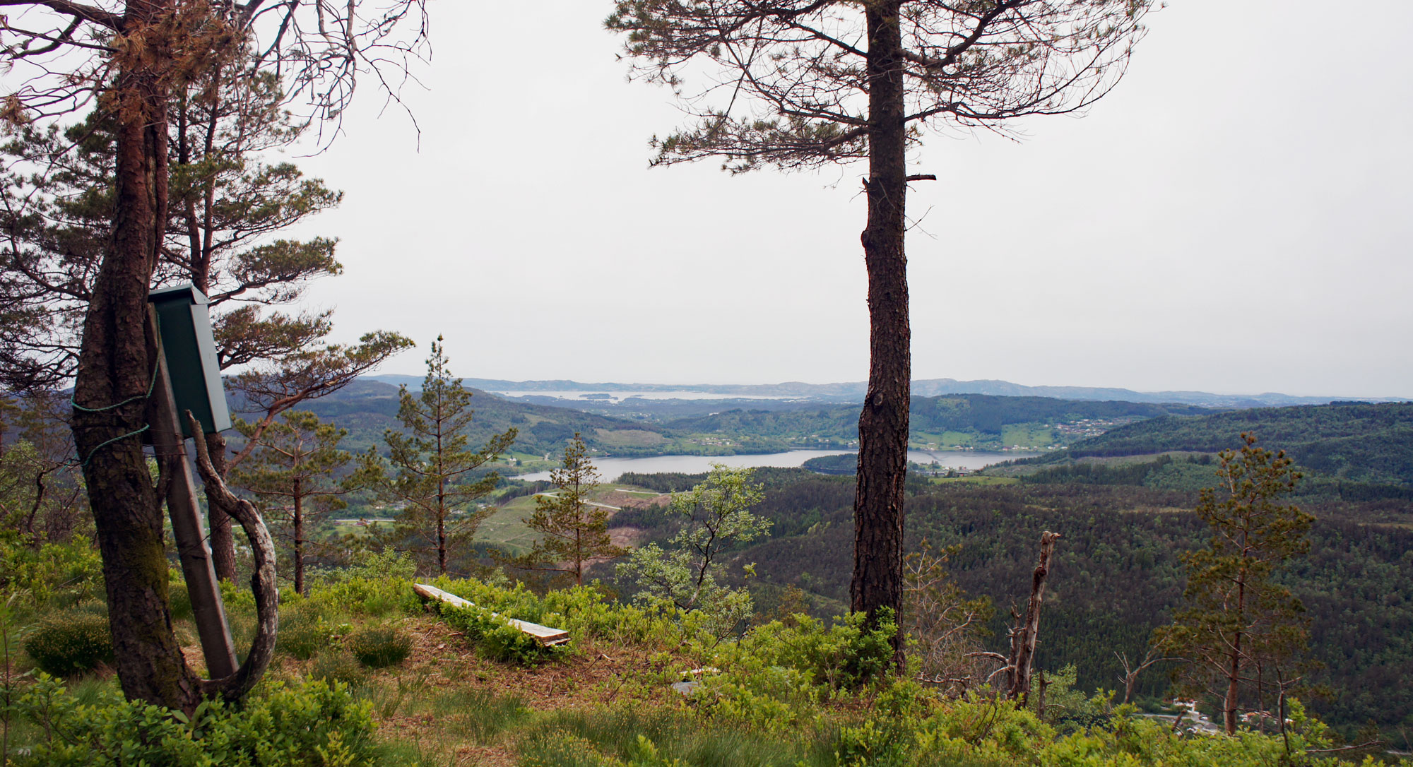 Raudlifjellet (396 moh) fra Gåssand