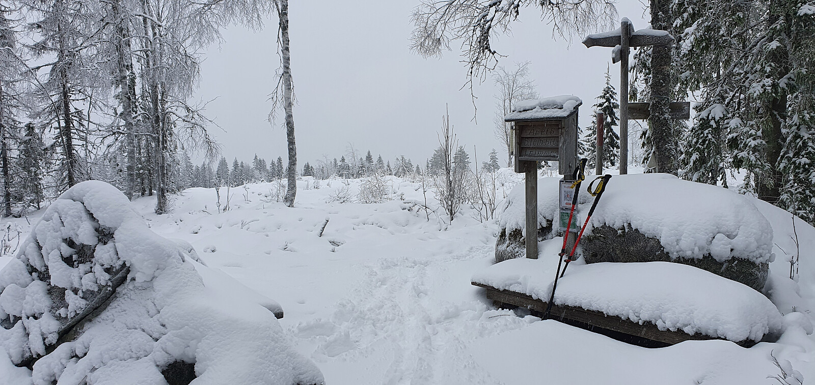 Steinbitberget (416 moh)