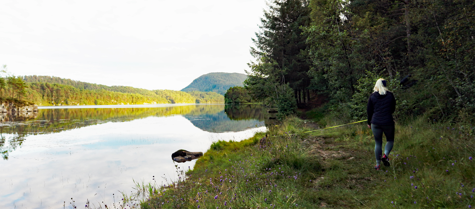 Vinddalsvatnet rundt på Søfteland