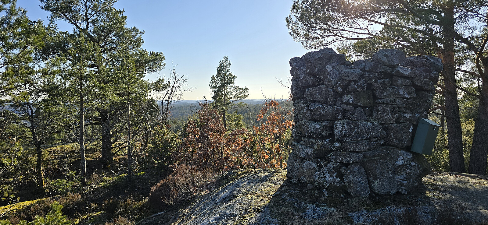 Bjørnåsen (198moh)