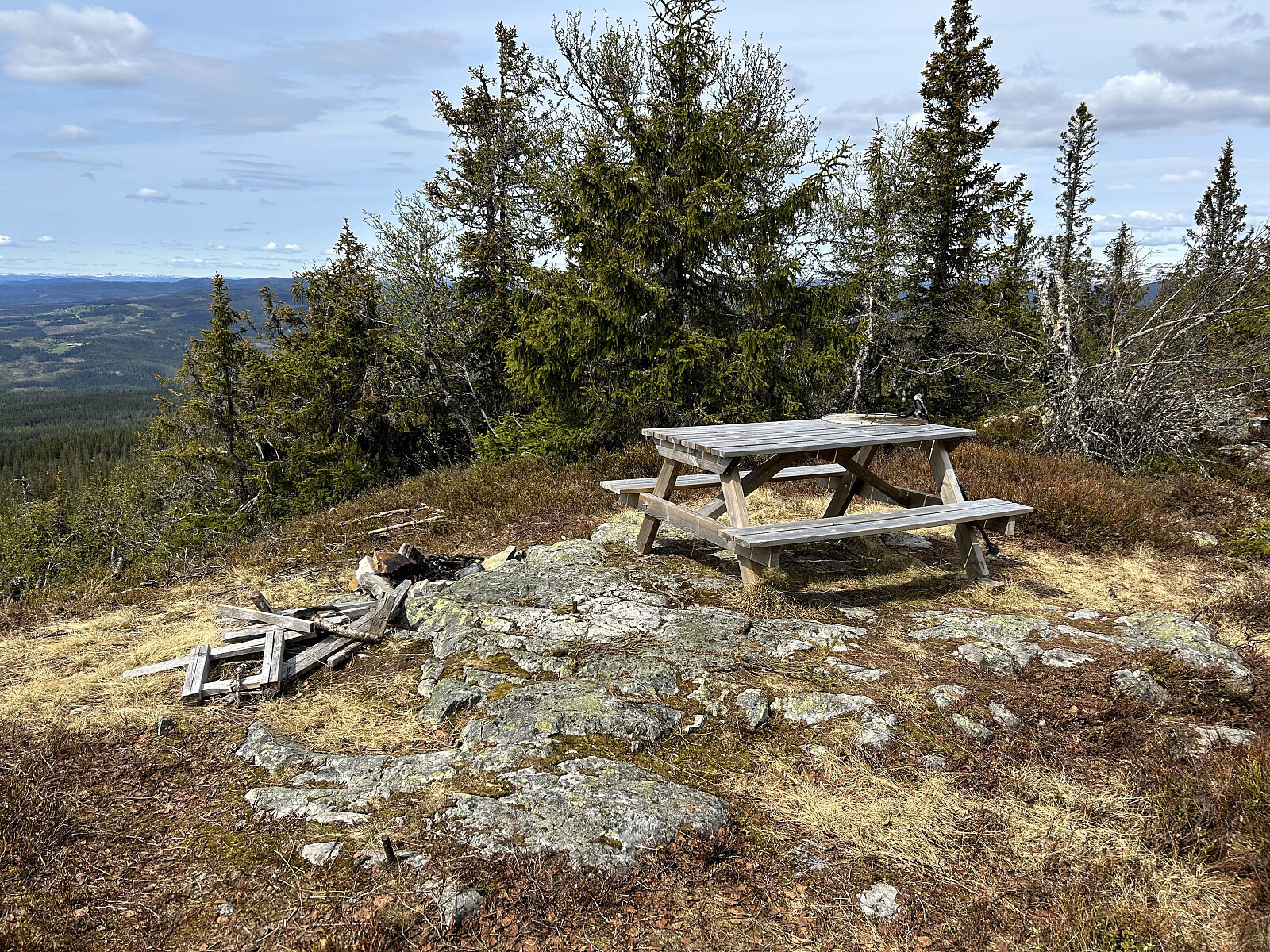 Bergevassknotten (920moh)