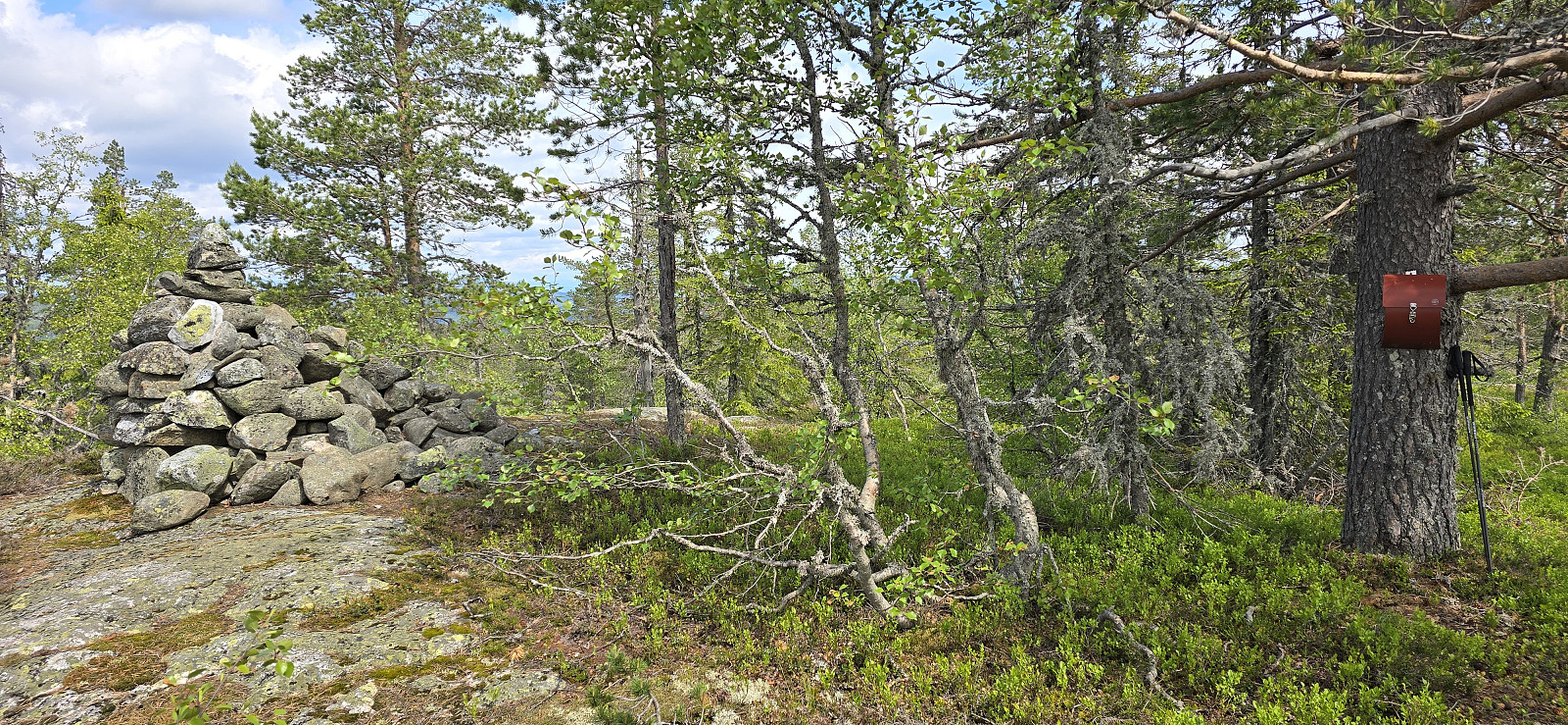 Fleksåsen (671 moh)