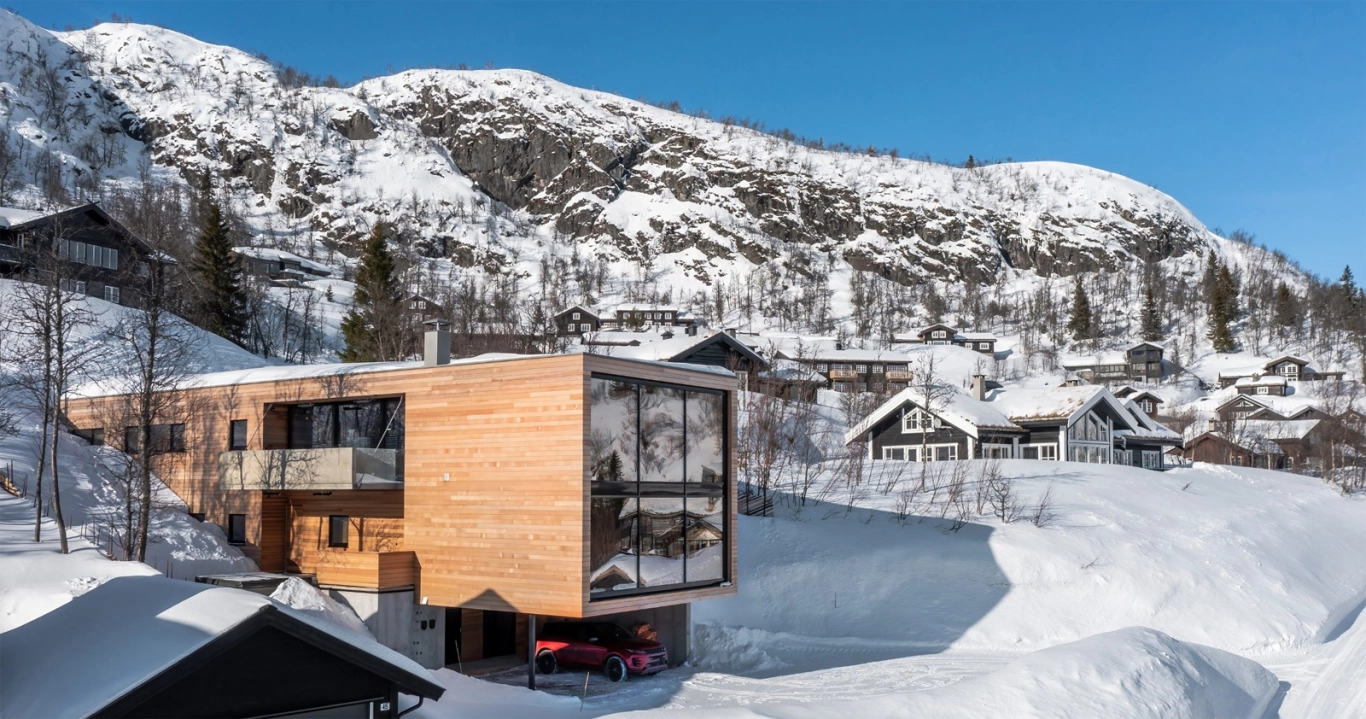 proHemsedal