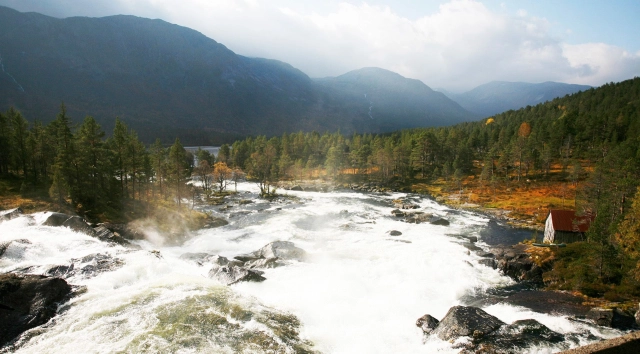 Hov Hyttegrend - Overnatting - Sunnfjord, Vestland