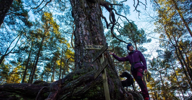 Gjelafuro (189 moh) fra Langavatnet på Drange - Bjørnafjorden, Vestland