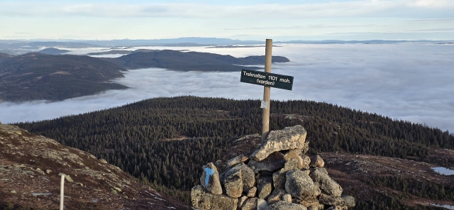 Treknatten (1101moh) - Ringerike, Buskerud