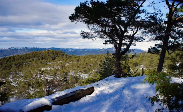 Høglikampen (267 moh) fra Kysthospitalet i Os - Bjørnafjorden, Vestland
