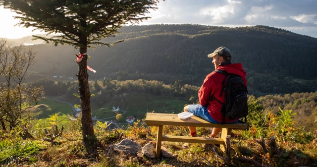 Almelandsfjellet (290 moh) fra Gimmeland - Bergen, Vestland