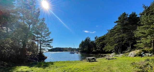 Vandretur i Botanisk hage og rundt Mildevannet - Bergen, Vestland