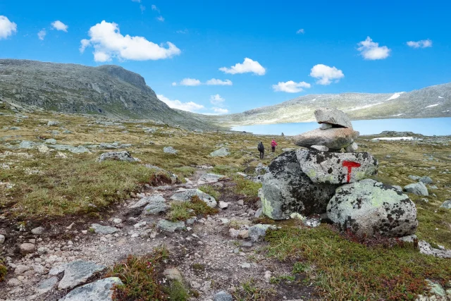 Hardangervidda del 1: Finse til Krækkja (1161moh) - Ulvik, Vestland