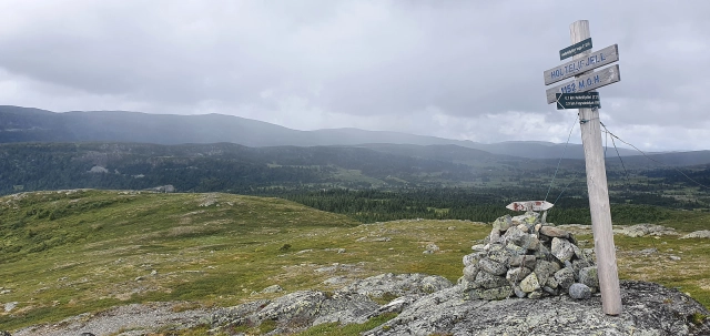 Holtelifjellet (1152moh) - Gol, Buskerud