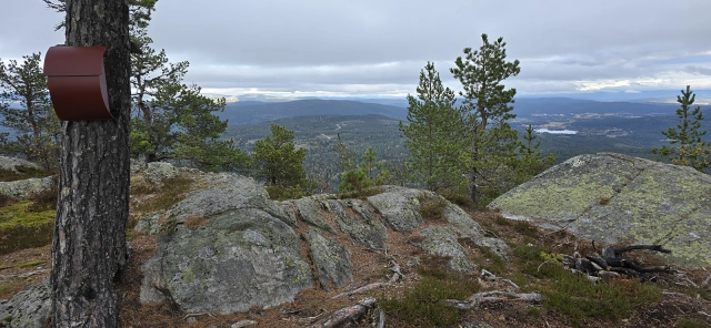 Høgnipa (660moh) - Krødsherad, Buskerud