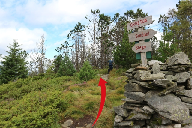 Orretua (336 moh) - Bergen, Vestland