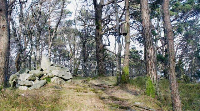Vardafjellet (302 moh) fra Hovland i Os - Bjørnafjorden, Vestland