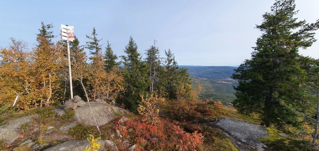 Dronningkollen (752moh) - Flesberg, Buskerud