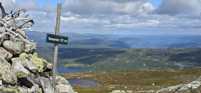 Viermyrnuten (1213moh) - Rollag, Buskerud