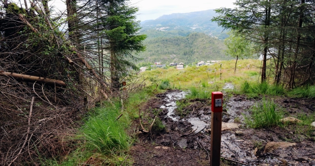 Bergen på langs 3. etappe Birkelandsfjellet - Bergen, Vestland