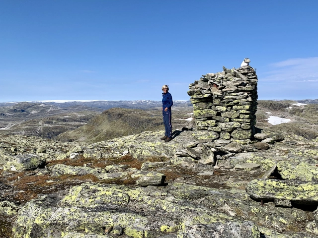 Vassdalseggi (1658moh) - Vinje, Telemark