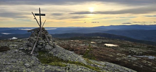 Urdevassfjellet (954moh) - Ringerike, Buskerud
