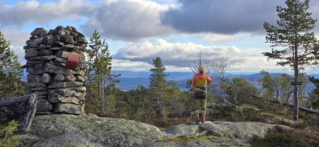 Flæa (683moh) - Krødsherad, Buskerud