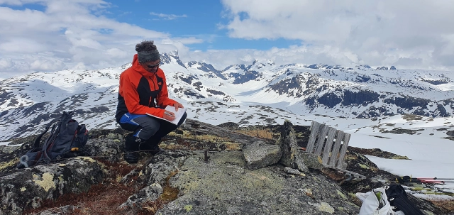 Botnanosi (1387 moh) - Årdal, Vestland