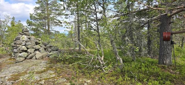 Fleksåsen (671moh) - Flesberg, Buskerud
