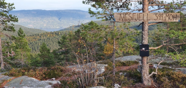 Nesfjell (599moh) - Kongsberg, Buskerud
